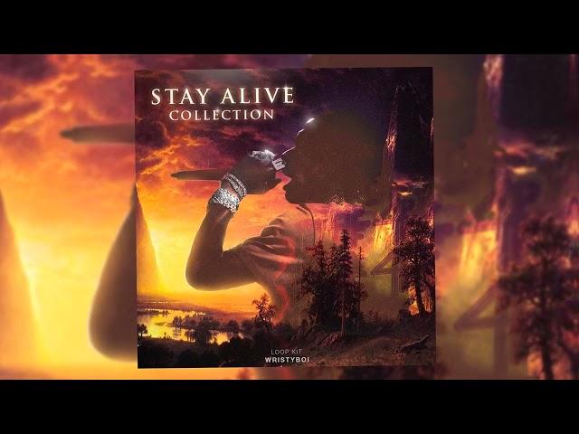 [15 FREE LOOPS] Lil Baby Loop Kit - "Stay Alive" Rylo Rodriguez, Lil Durk, 4PF