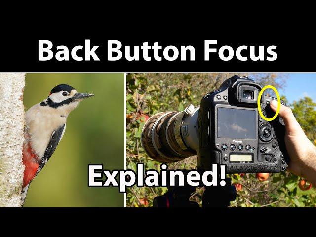 How to Set Up BACK BUTTON FOCUS - And my Preferred Autofocus Technique (Canon 1 DX)