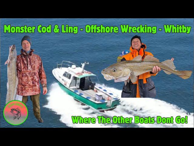 Monster Cod & Ling Whitby Offshore Wrecking