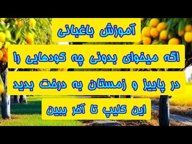 معرفی کودهایی که در پاییز و زمستان باید به درخت داد ، این کلیپ تا آخر ببین!!