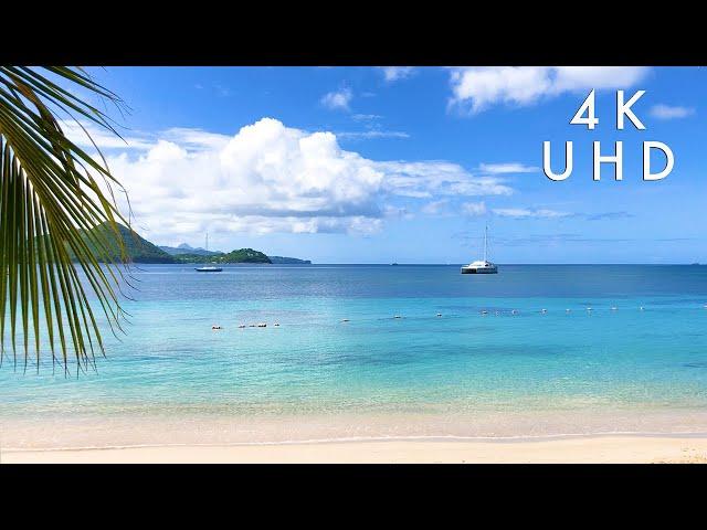 "Sunshine Therapy:" Virtual Vacation to The Perfect Tropical Beach (4K Video)