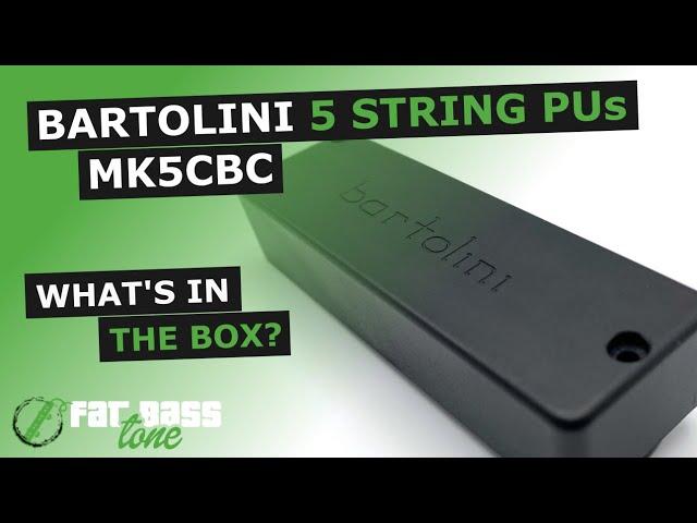 Bartolini MK5CBC 5 String Bass Pickup: What’s In The Box (A Close-Up Look)