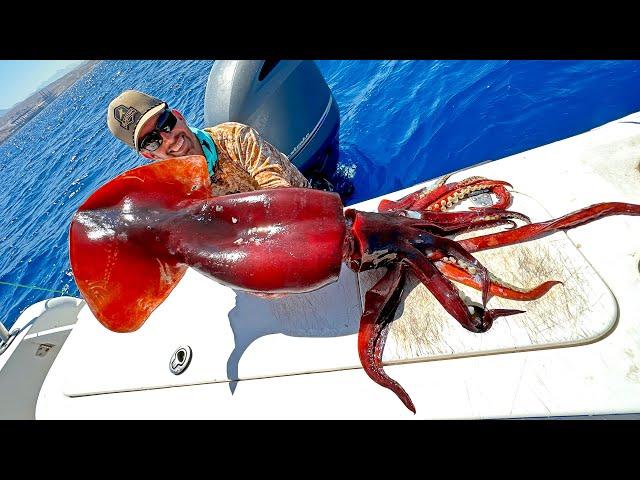 I Caught a Giant Squid in the Middle East