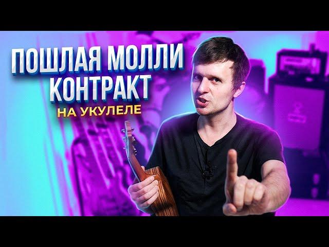 ПОШЛАЯ МОЛЛИ - КОНТРАКТ на УКУЛЕЛЕ | аккорды + разбор