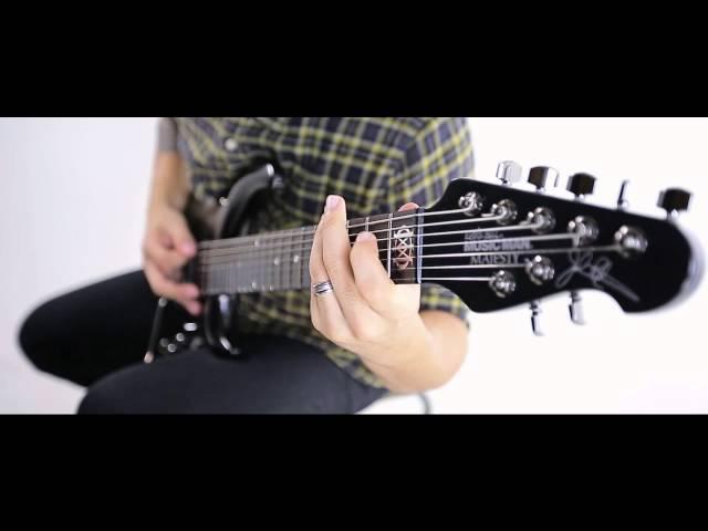 VITALISM | BIPOLARITY | GUITAR PLAYTHROUGH