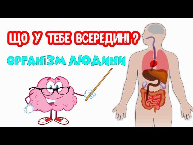 Організм ЛЮДИНИ. Що у тебе всередині?