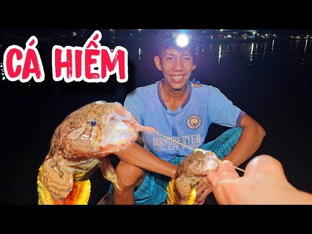 Giăng Câu Dính Cá Mao Ếch | #66TV #fishing