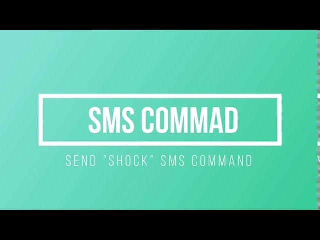 Step 4 Send SMS Command