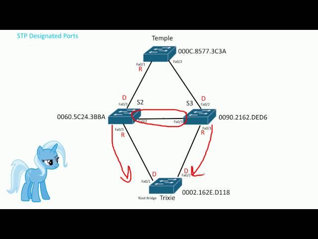 STP Designated ports