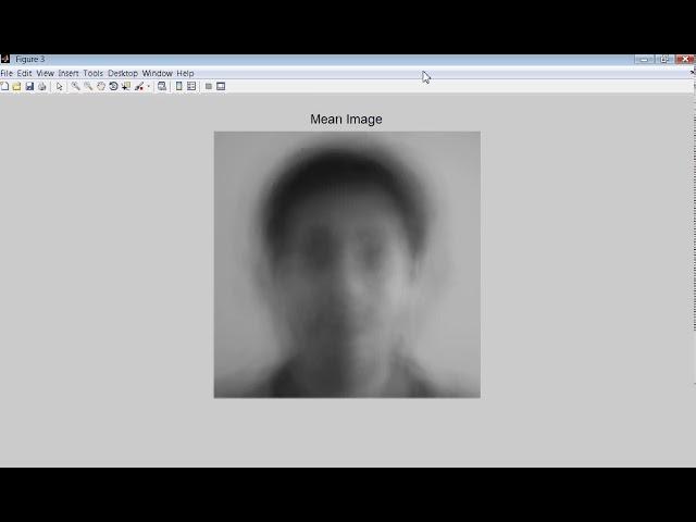 Facial Expression Recognition Using MATLAB Real Time - Final Year Project of Electronics Engineering