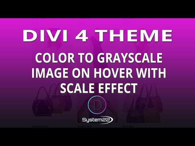 Divi 4 Color To Grayscale Image On Hover With Scale Effect