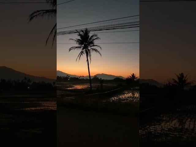 morning sunrise #sunrise #sunset #nature #natureview #naturesounds #naturevideo #naturevibes