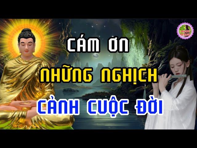 Cám Ơn Những Nghịch Cảnh Cuộc Đời - Vì Nó Đã Giúp Ta Có Thêm Bản Lĩnh Và Mạnh Mẽ -Suy Ngẫm Cuộc Sống