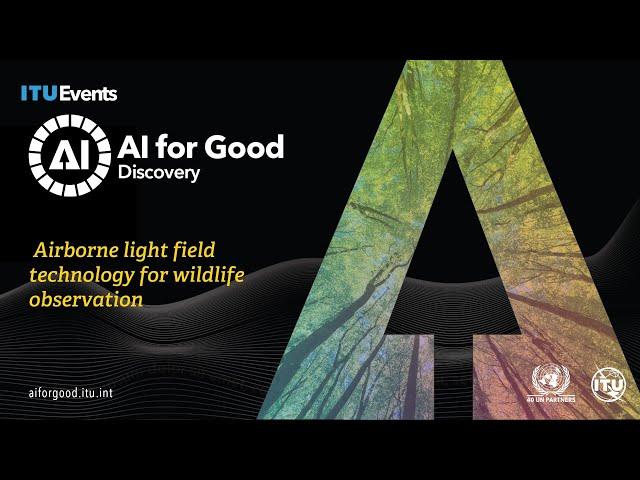 Airborne light fields for wildlife observation