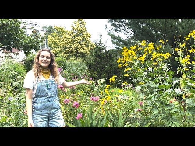 Lunchtime Tour: Cut Flower Garden