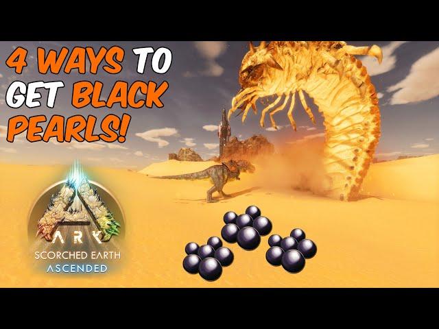 4 Ways To Get BLACK PEARLS on Scorched Earth in ARK Survival Ascended #arksurvivalascended #ark