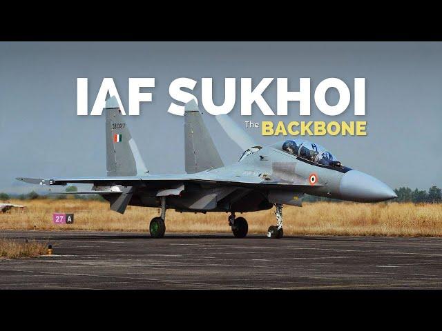 IAF Sukhoi Su-30MKI AKA Backbone