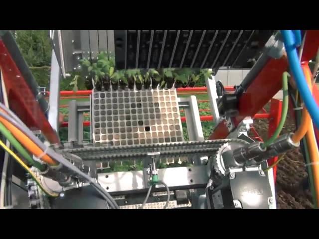 Techmek Magika: Fully Automatic Transplanter with Checchi&Magli