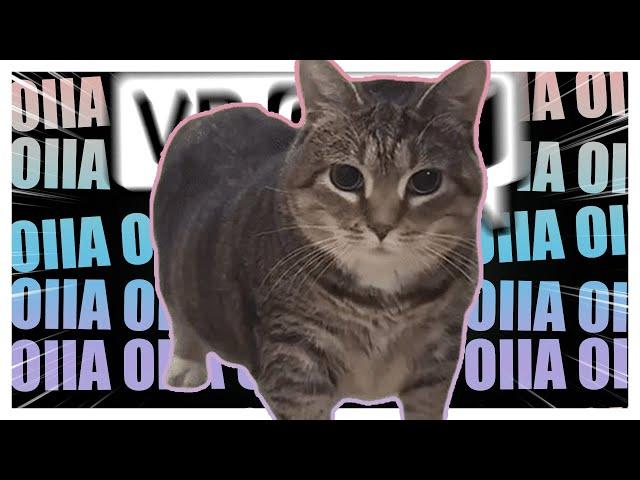 OIIAOIIA (Spinning CAT meme) takes over VRCHAT lobbies