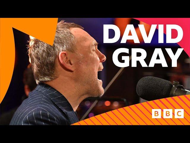 David Gray - Please Forgive Me ft. BBC Concert Orchestra (Radio 2 Piano Room)