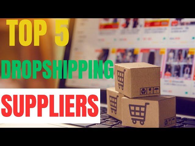 Best Droshipping Supplier 2025: Top 5 Profitable Wholesale Dropshipping Websites For Fast Shipping