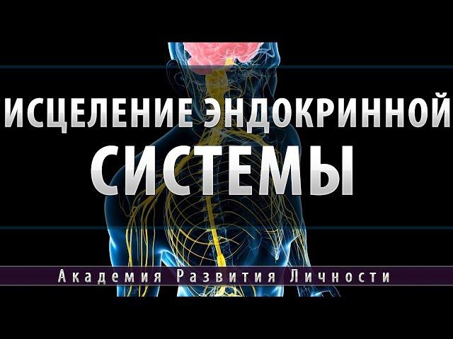 Программа исцеление эндокринной системы [Космоэнергетика]