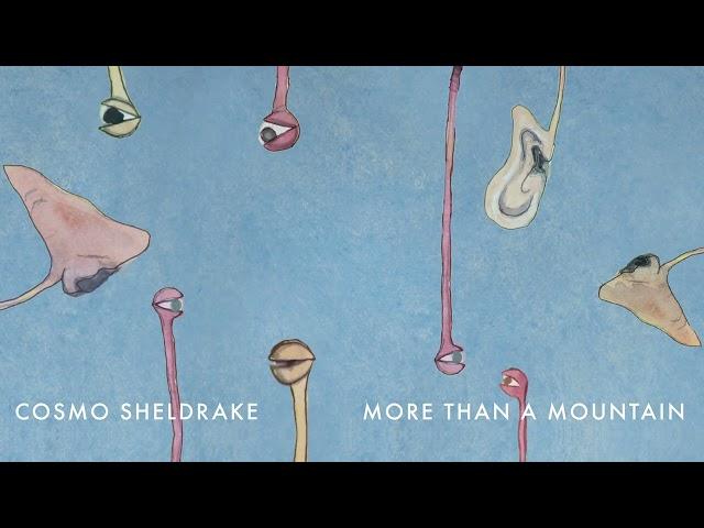 Cosmo Sheldrake - More Than A Mountain