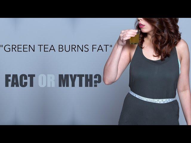 Green Tea For Weight Loss | Fact Or Myth