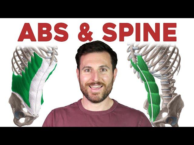 How to Remember Every Muscle in the Back and Abdomen | Corporis