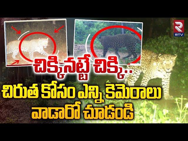 చిరుత జాడ ఏమైంది..?  | Search operation For Leopard in Rajahmundry | CCTV Visuals | RTV