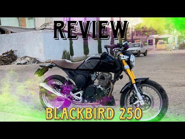 blackbird 250 2022| review|fachaendosruedasMX