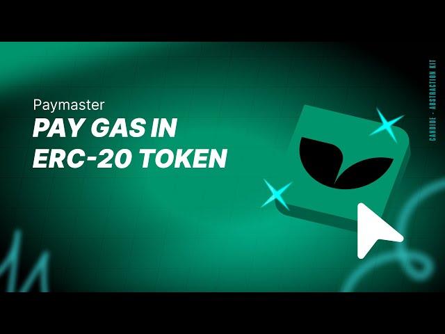 Pay Gas in ERC-20 Token Paymaster | Account Abstraction Guide