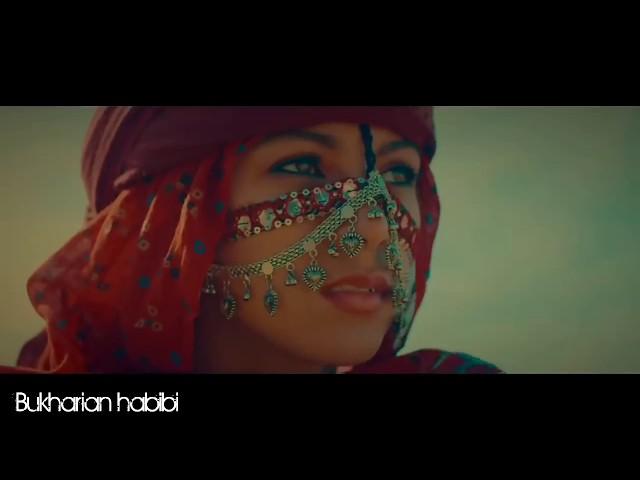 Habibi Arabian beautiful song | arabic | اغنية عربية