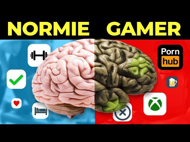 What Gaming Does to Your Brain