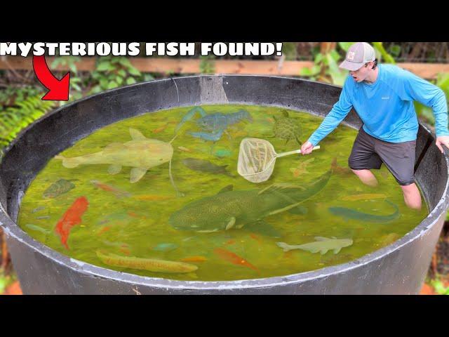 I Found Mysterious Fish LIVING in ABANDONED POND!