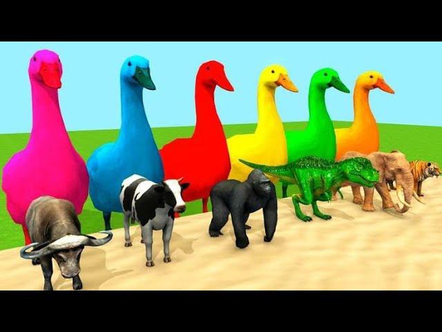 3d animals cartoon / 3 d animal / animals cartoon / #RK388