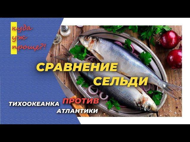 Сельдь Атлантика против Тихоокеанки. Две селедки - кто кого?