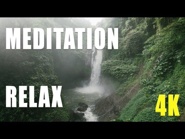 Entspannen - Meditation & Stressabbau - Innere Ruhe | Natur Regenwald | [4K]