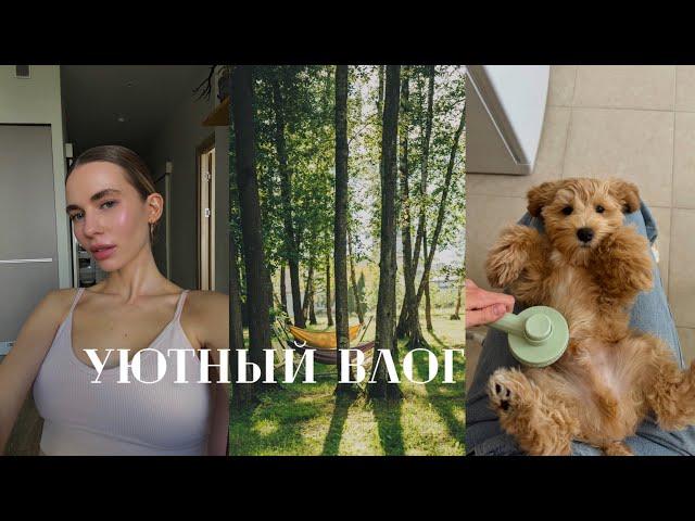 Домашний ВЛОГ: утренний уход | крашусь и болтаю | про хейтеров и выгорание | где Доби?