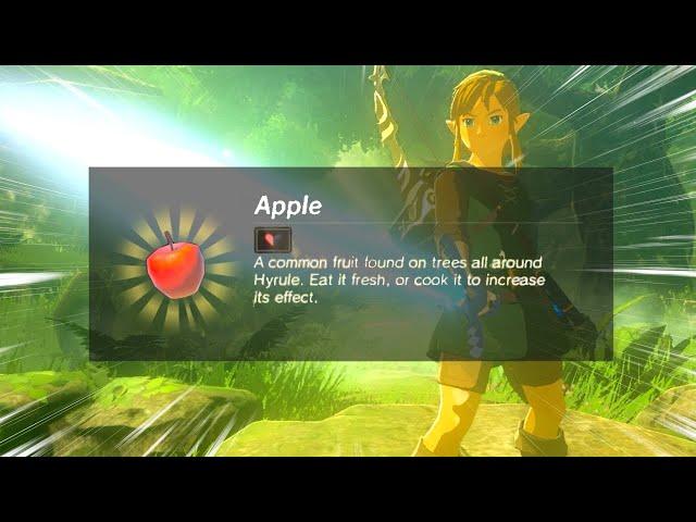 Can you beat Breath of the Wild with Random EVERYTHING?