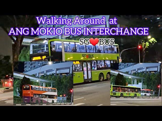 LOOK AT THE CROWDED  BUS INTERCHANGE IN SINGAPORE? #shortvideo #travel #singapore #travelvlog
