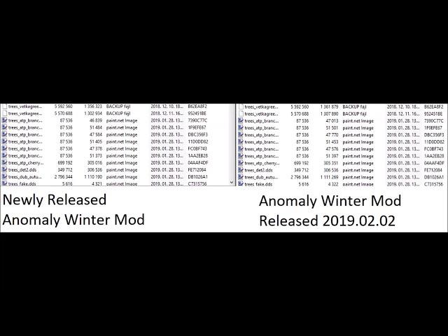 S.T.A.L.K.E.R.: Anomaly Winter Mod