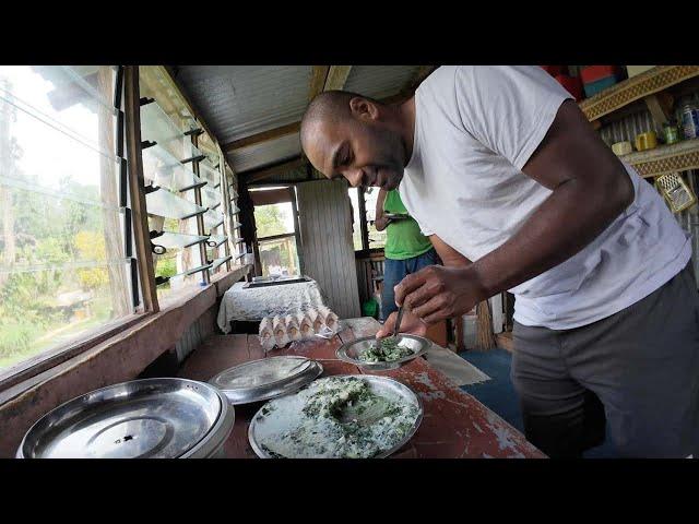 Namosi Style Boiled Taro Leaves in Coconut Milk (Rourou Pizza)