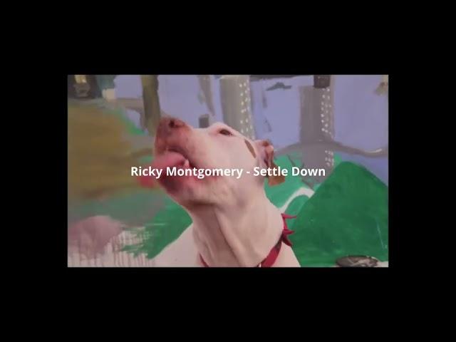 Ricky Montgomery Music Compilation #shorts