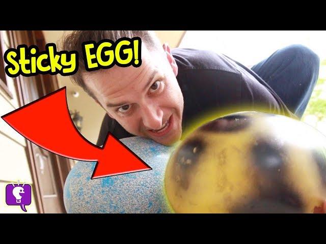 STICKY EGG in HobbyGuy House! by HobbyKidsTV