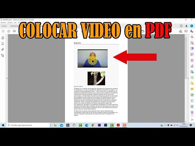 COLOCAR un VIDEO en PDF con ADOBE ACROBAT Pro DC