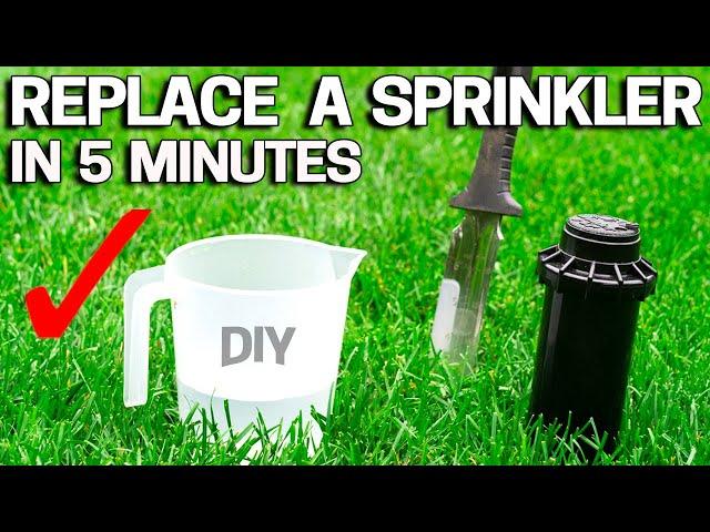 Replace SPRINKLER HEAD in 5 Minutes  - Rainbird - Hunter - Orbit