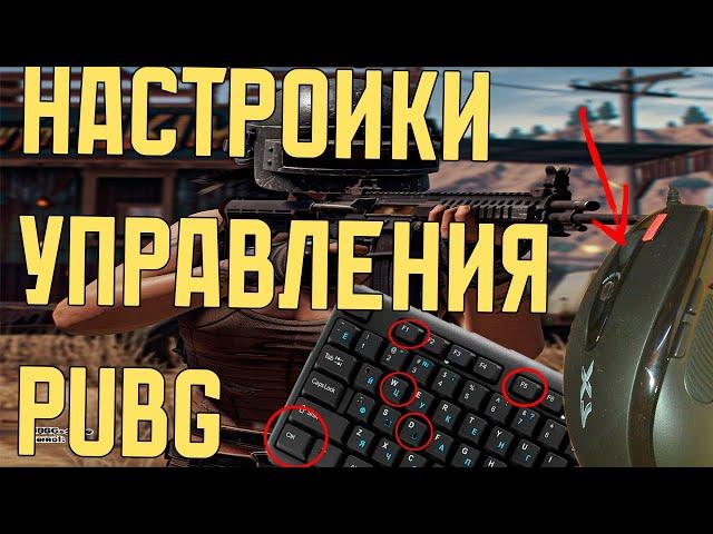 Всё что тебе нужно знать про настройку управления в PUBG для новичков и не только