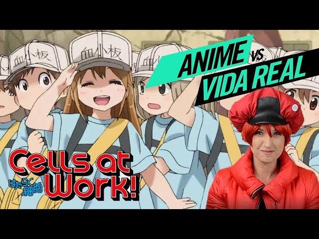 CELLS AT WORK! COM UMA MÉDICA | ANIME vs VIDA REAL | 01