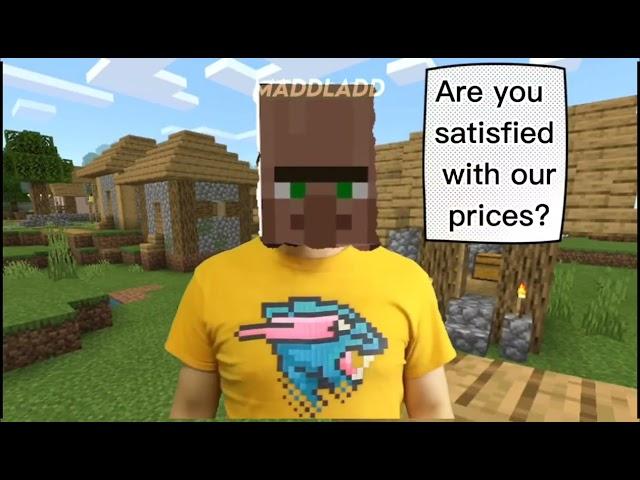 Pov: You Have Hero Of The Village In Minecraft